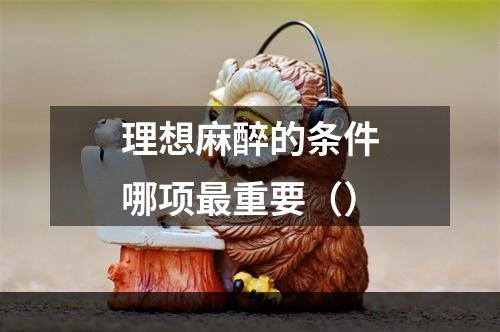 理想麻醉的条件哪项最重要（）