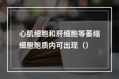 心肌细胞和肝细胞等萎缩细胞胞质内可出现（）