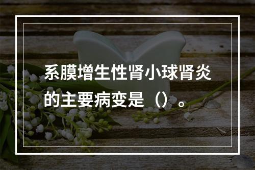 系膜增生性肾小球肾炎的主要病变是（）。