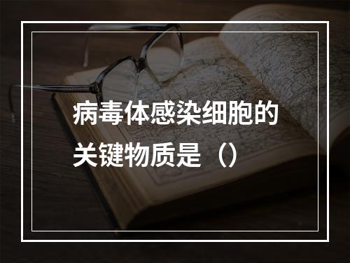 病毒体感染细胞的关键物质是（）