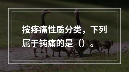 按疼痛性质分类，下列属于钝痛的是（）。