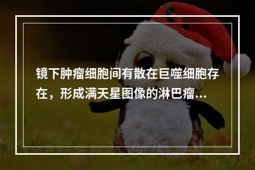 镜下肿瘤细胞间有散在巨噬细胞存在，形成满天星图像的淋巴瘤是（