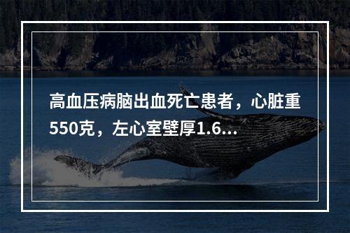 高血压病脑出血死亡患者，心脏重550克，左心室壁厚1.6cm