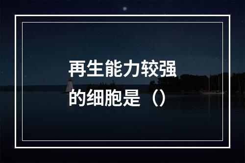 再生能力较强的细胞是（）