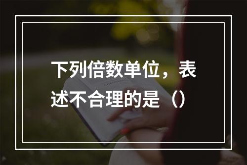 下列倍数单位，表述不合理的是（）