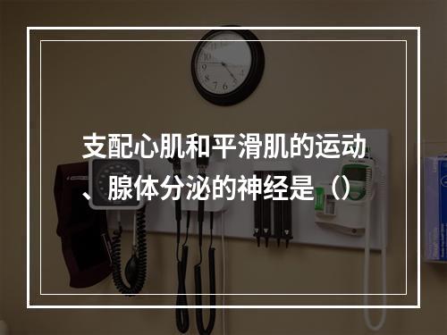 支配心肌和平滑肌的运动、腺体分泌的神经是（）