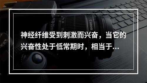 神经纤维受到刺激而兴奋，当它的兴奋性处于低常期时，相当于其动