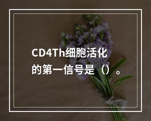 CD4Th细胞活化的第一信号是（）。