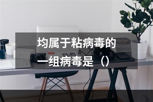 均属于粘病毒的一组病毒是（）