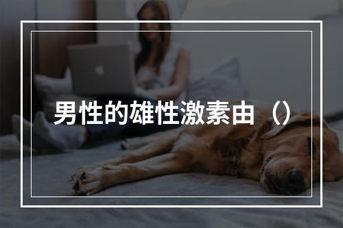 男性的雄性激素由（）