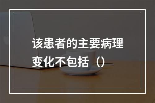 该患者的主要病理变化不包括（）