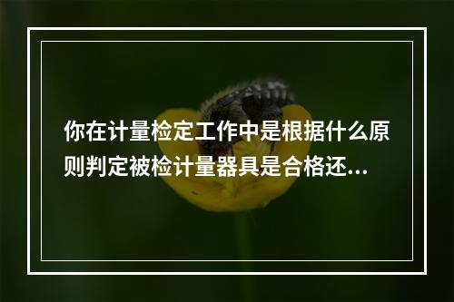 你在计量检定工作中是根据什么原则判定被检计量器具是合格还是不