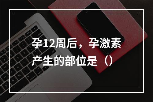 孕12周后，孕激素产生的部位是（）