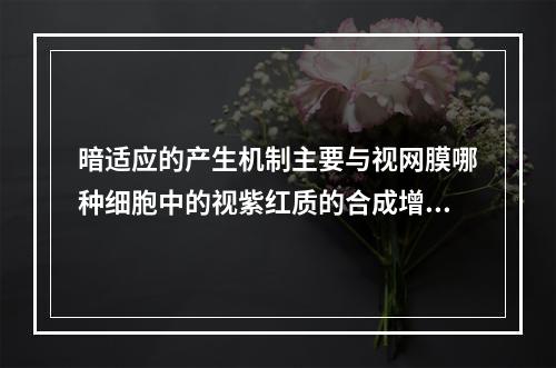 暗适应的产生机制主要与视网膜哪种细胞中的视紫红质的合成增强有