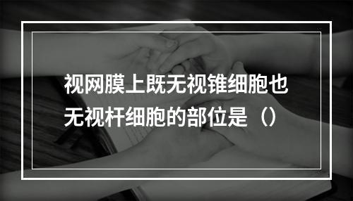 视网膜上既无视锥细胞也无视杆细胞的部位是（）