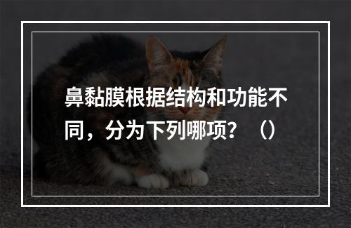 鼻黏膜根据结构和功能不同，分为下列哪项？（）