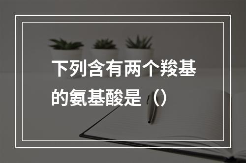 下列含有两个羧基的氨基酸是（）