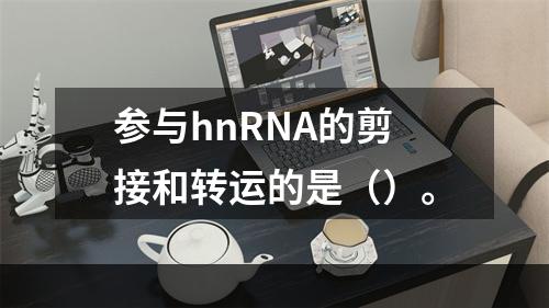 参与hnRNA的剪接和转运的是（）。