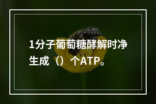 1分子葡萄糖酵解时净生成（）个ATP。