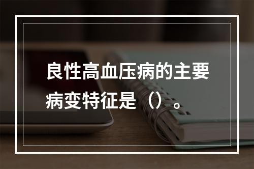 良性高血压病的主要病变特征是（）。