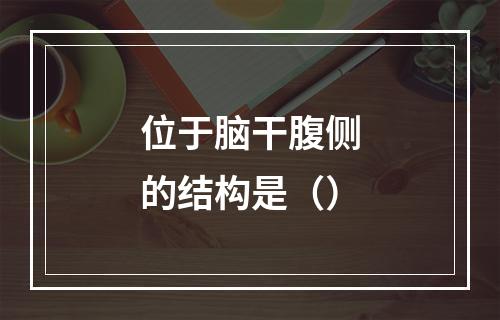 位于脑干腹侧的结构是（）