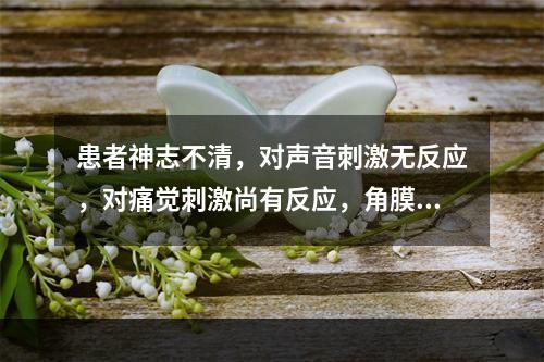 患者神志不清，对声音刺激无反应，对痛觉刺激尚有反应，角膜反射