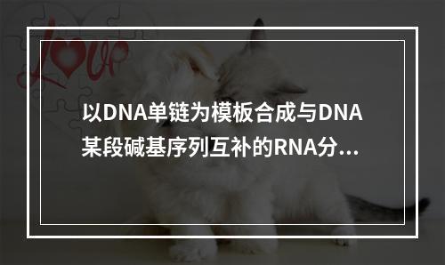 以DNA单链为模板合成与DNA某段碱基序列互补的RNA分子（