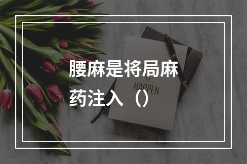 腰麻是将局麻药注入（）