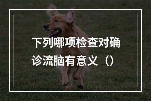 下列哪项检查对确诊流脑有意义（）