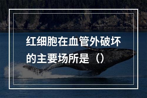 红细胞在血管外破坏的主要场所是（）