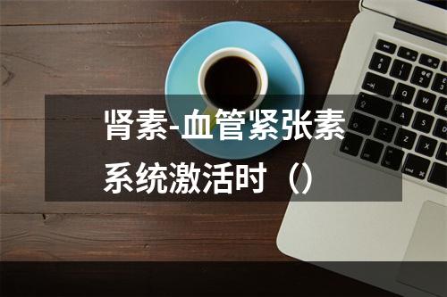 肾素-血管紧张素系统激活时（）