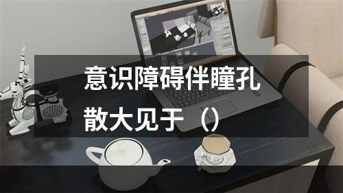 意识障碍伴瞳孔散大见于（）