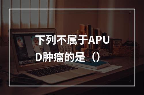 下列不属于APUD肿瘤的是（）