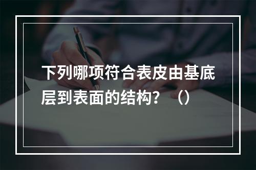 下列哪项符合表皮由基底层到表面的结构？（）