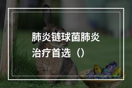 肺炎链球菌肺炎治疗首选（）