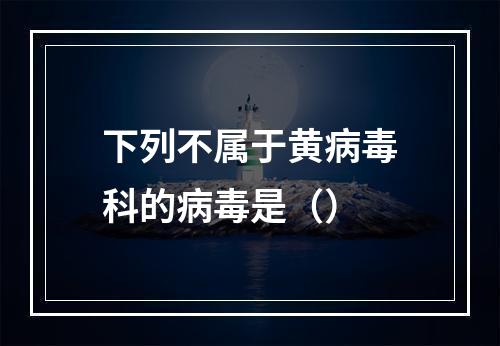 下列不属于黄病毒科的病毒是（）