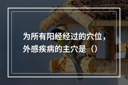 为所有阳经经过的穴位，外感疾病的主穴是（）