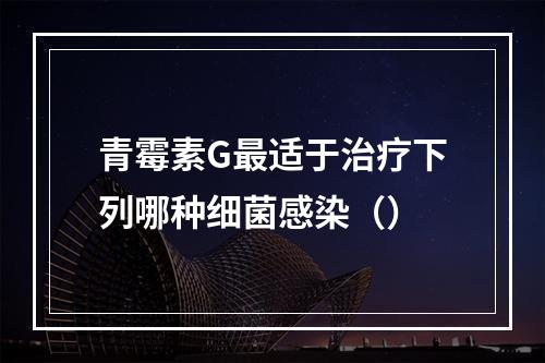 青霉素G最适于治疗下列哪种细菌感染（）