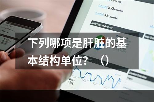 下列哪项是肝脏的基本结构单位？（）