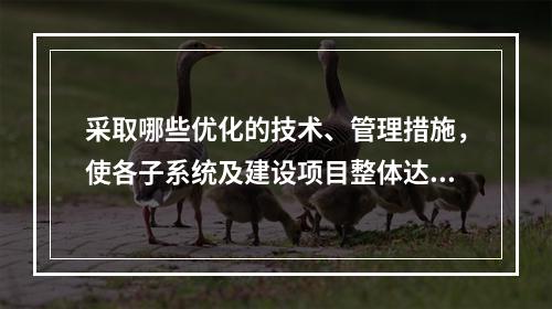 采取哪些优化的技术、管理措施，使各子系统及建设项目整体达到安