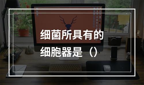 细菌所具有的细胞器是（）