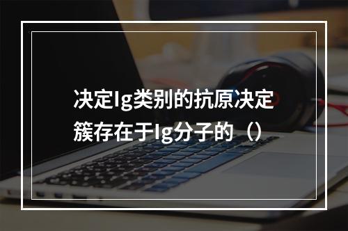 决定Ig类别的抗原决定簇存在于Ig分子的（）