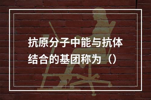 抗原分子中能与抗体结合的基团称为（）