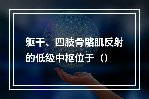 躯干、四肢骨骼肌反射的低级中枢位于（）