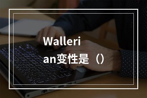 Wallerian变性是（）