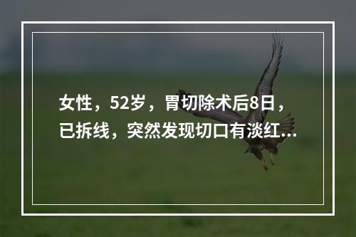 女性，52岁，胃切除术后8日，已拆线，突然发现切口有淡红色液