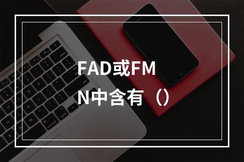 FAD或FMN中含有（）