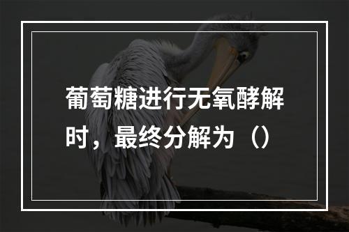 葡萄糖进行无氧酵解时，最终分解为（）