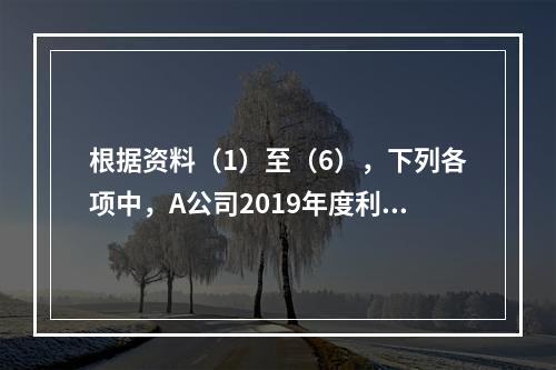 根据资料（1）至（6），下列各项中，A公司2019年度利润表