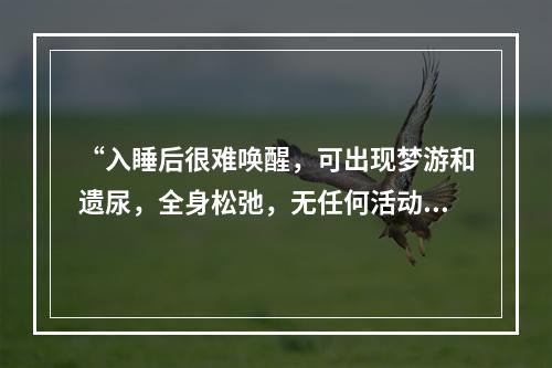 “入睡后很难唤醒，可出现梦游和遗尿，全身松弛，无任何活动”应